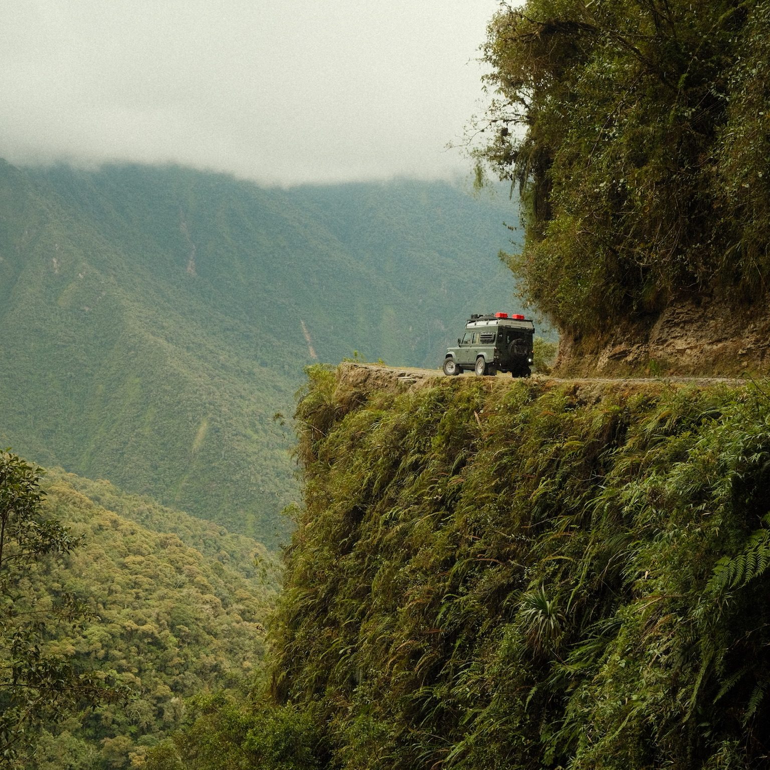 Rewild Project Landscape